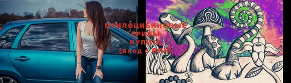 хмурый Арсеньев