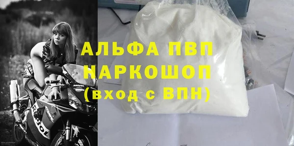 хмурый Арсеньев