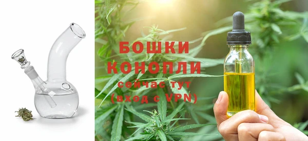 хмурый Арсеньев