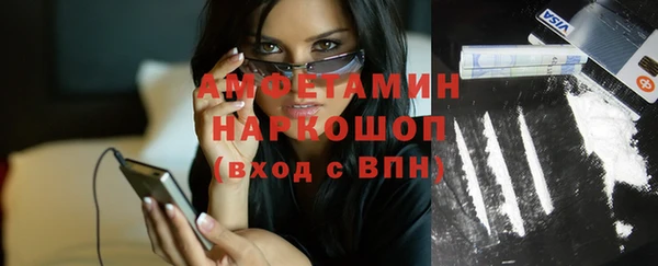 хмурый Арсеньев