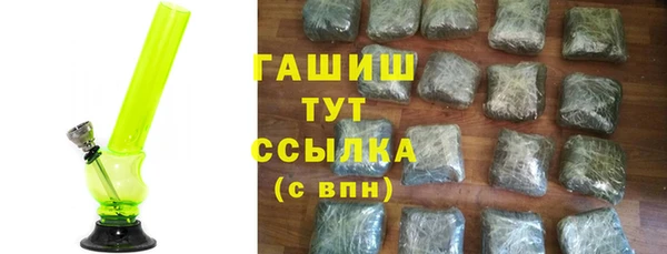 хмурый Арсеньев