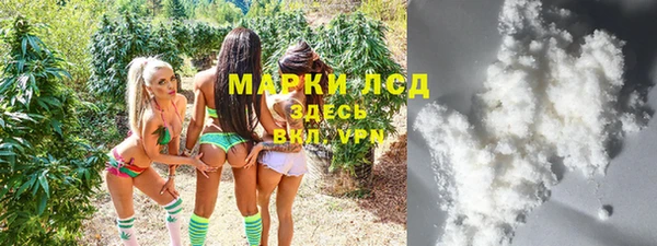 хмурый Арсеньев