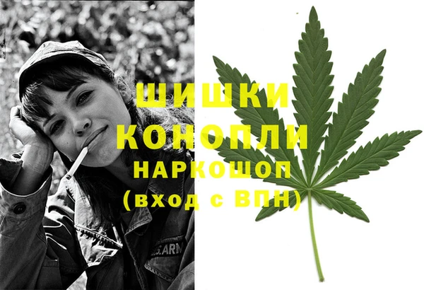 амф Аркадак