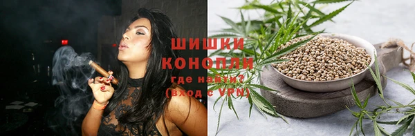 хмурый Арсеньев