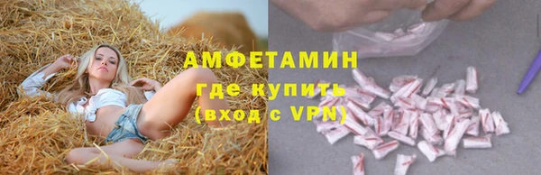 амф Аркадак