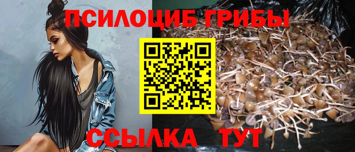 Галлюциногенные грибы Cubensis Куйбышев
